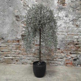 ExtDirectUpload110064_1