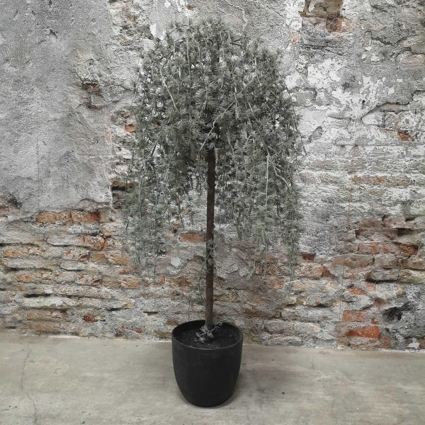 ExtDirectUpload110064_1