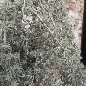 ExtDirectUpload110064_2