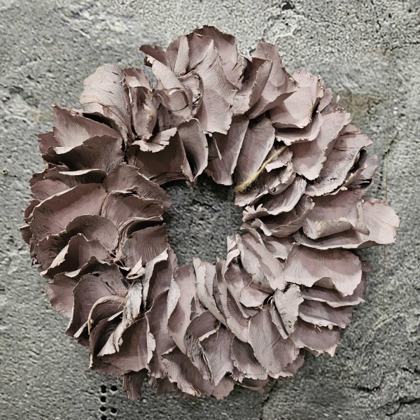 ExtDirectUpload112481_1