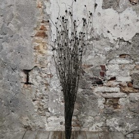 ExtDirectUpload112519_1