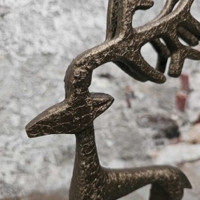 ExtDirectUpload112829_2