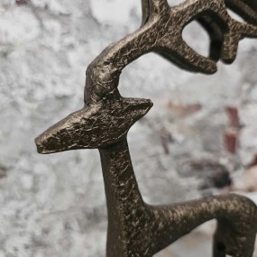 ExtDirectUpload112830_2