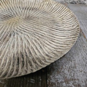 ExtDirectUpload112857_2