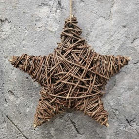 ExtDirectUpload112934_1