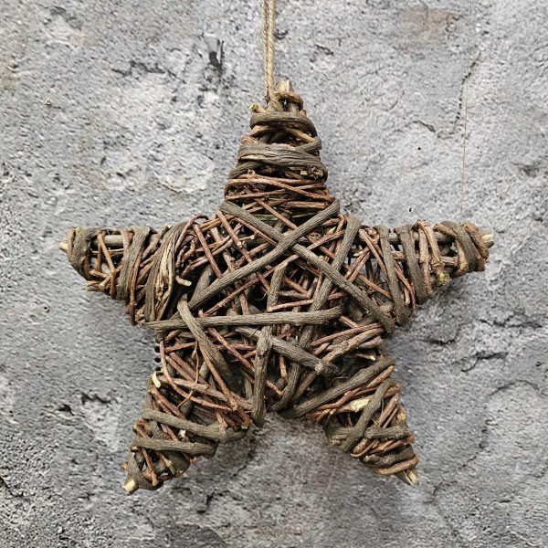 ExtDirectUpload112936_1