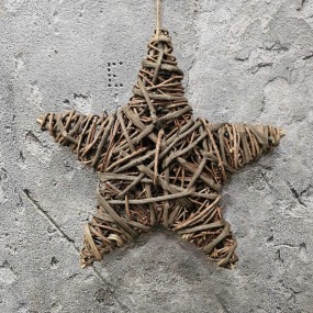 ExtDirectUpload112937_1