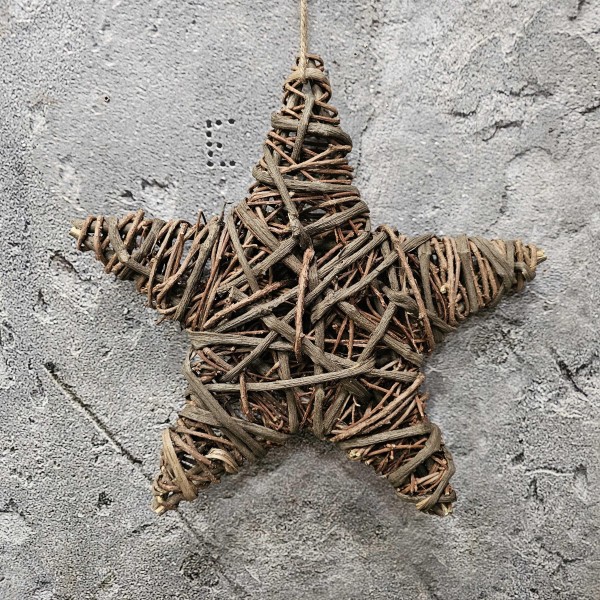 ExtDirectUpload112937_1