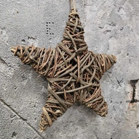 ExtDirectUpload112937_2