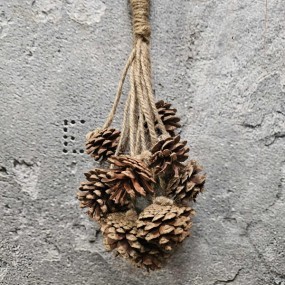 ExtDirectUpload112939_1