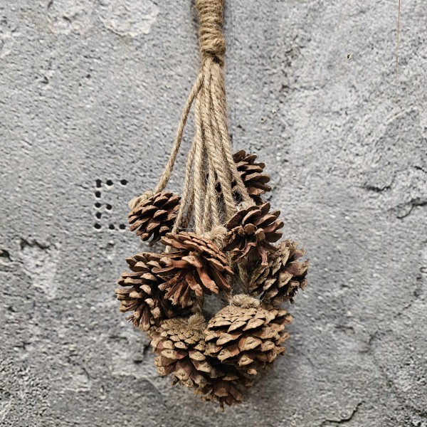 ExtDirectUpload112939_1