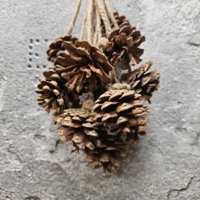 ExtDirectUpload112939_3