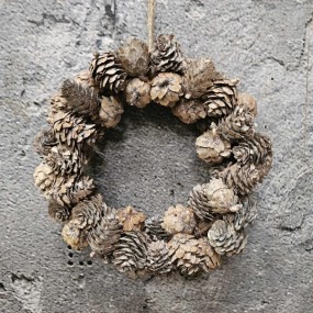 ExtDirectUpload112955_1