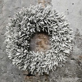 ExtDirectUpload112904_1