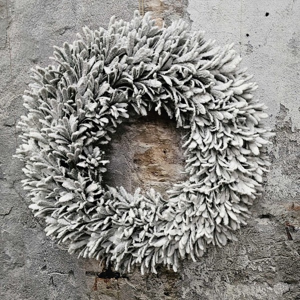 ExtDirectUpload112904_1