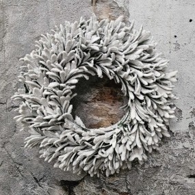 ExtDirectUpload112905_1