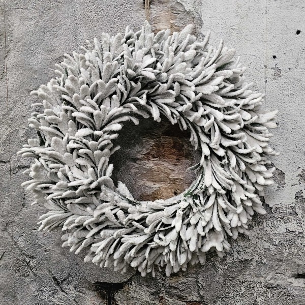 ExtDirectUpload112905_1