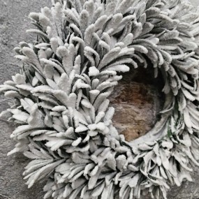 ExtDirectUpload112905_2