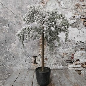 ExtDirectUpload112906_1