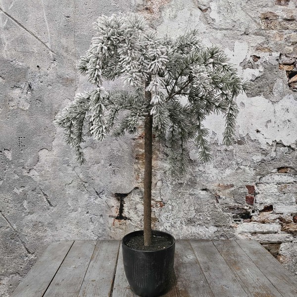 ExtDirectUpload112906_1