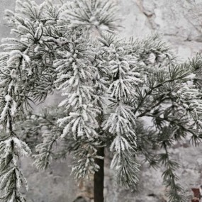 ExtDirectUpload112906_2