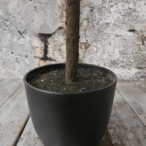 ExtDirectUpload112906_3