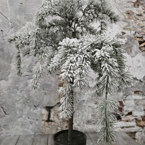 ExtDirectUpload112906_4