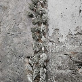 39347-ExtDirectUpload112911_2