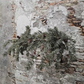 ExtDirectUpload112913_1