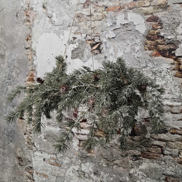 ExtDirectUpload112913_1