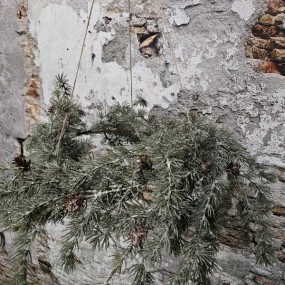 ExtDirectUpload112913_2