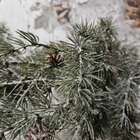 ExtDirectUpload112913_3