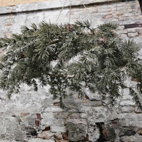 ExtDirectUpload112913_4