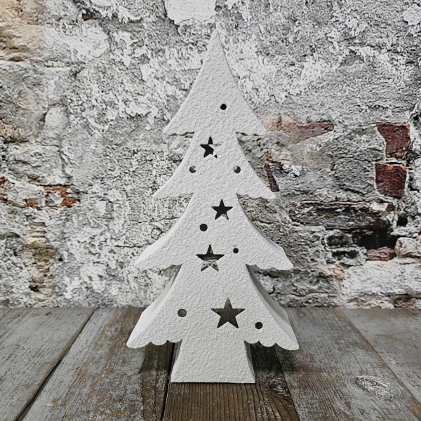 ExtDirectUpload113010_1