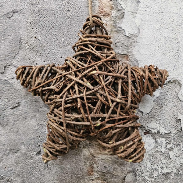 ExtDirectUpload112933_1