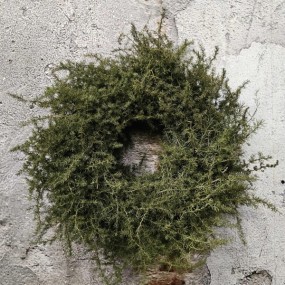 ExtDirectUpload113055_1