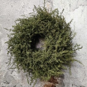 ExtDirectUpload113055_3