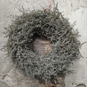 ExtDirectUpload113058_1