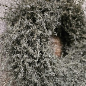 ExtDirectUpload113058_2