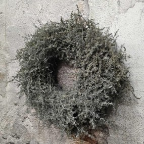 ExtDirectUpload113058_3