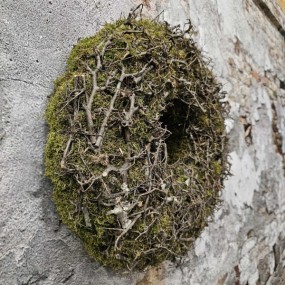 ExtDirectUpload113064_2