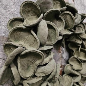 ExtDirectUpload112470_2