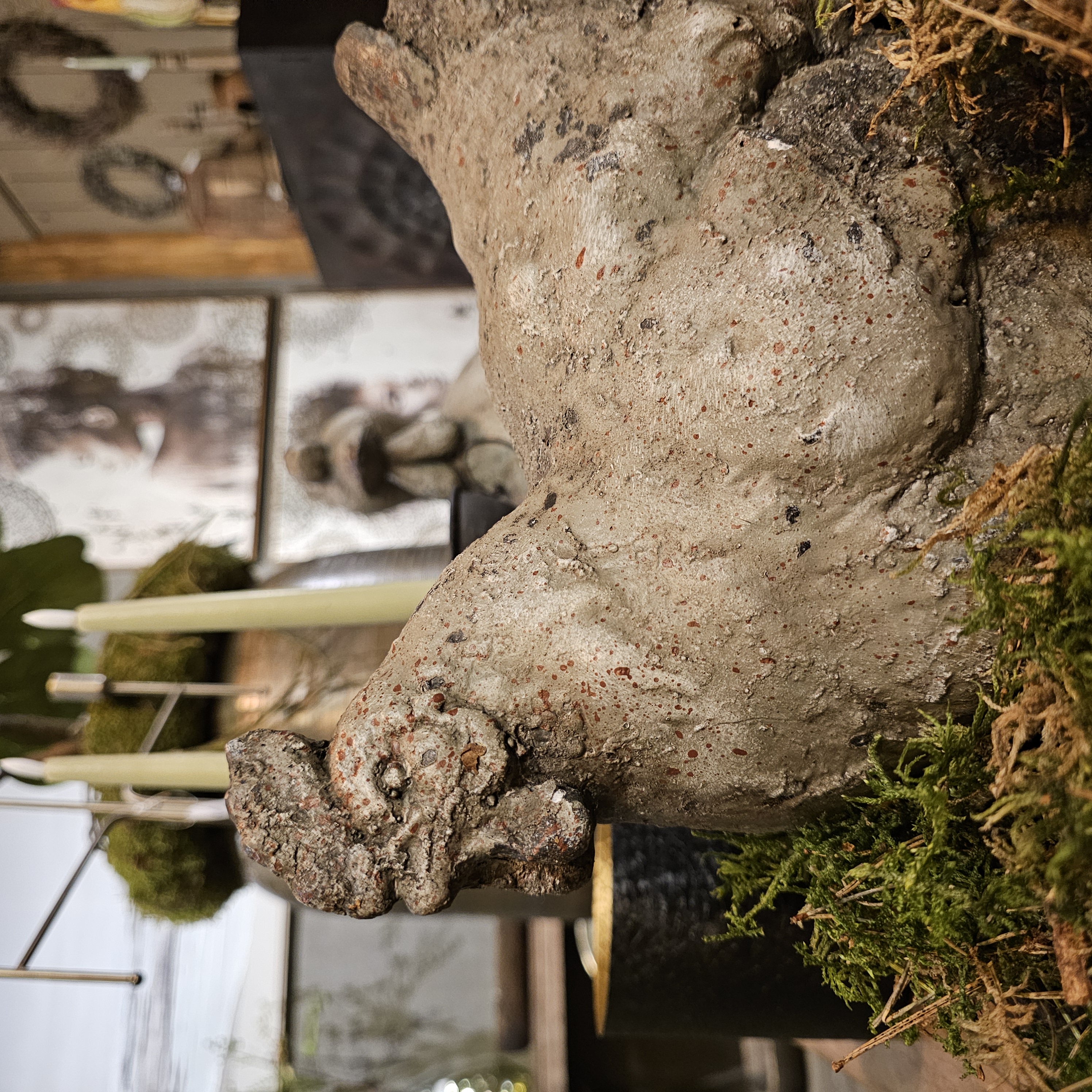 Cash and carry groothandel - Overwijk Decoratie